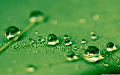 大自然清新美景桌面壁纸