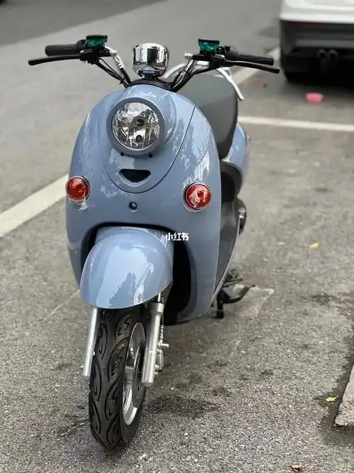 经典龟车电动车1380包牌