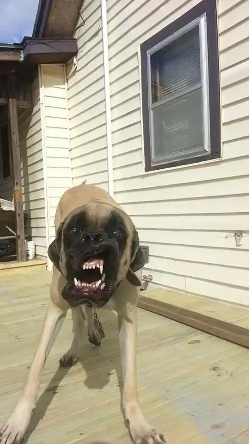 笑趴的图片搞笑