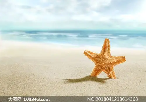 站在沙滩上的一枚海星摄影高清图片