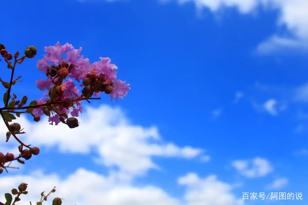 初学摄影,学拍蓝天白云,绿水青山