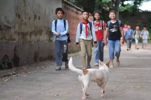 他们光着脚上学