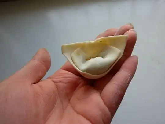 猪耳朵韭菜鲜肉饺子