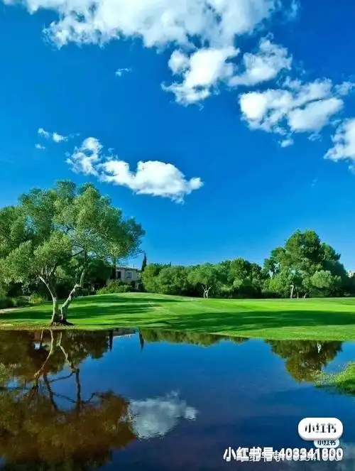 有句成语 心想事成现实生活中 每天对自己说一些正能量的话比如每天问