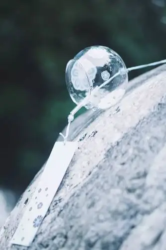 可左右滑动查看更多图片哦梦醒风铃揺雨来chapter 1等雨中珞珈看镜中