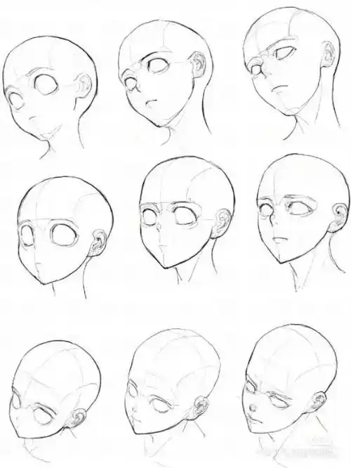 基础线稿黑白稿人物头部动作线稿