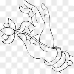 观音手佛手png佛教手势  观音手佛手荷花png佛手pngai佛手莲花pn贩
