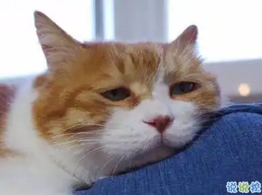 心累心烦的说说带图片烦躁不安的伤感说说