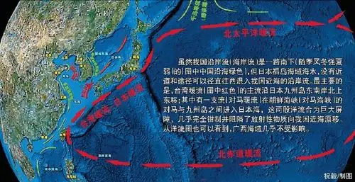 日本周围海流不会流到北部湾 北部湾海鲜可放心吃