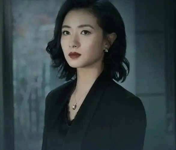 万茜演过哪些电视剧(10部"万茜"出演的电视剧)(7)