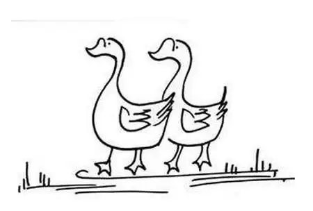 鹅简笔画图片大全可爱 中级简笔画教程-第9张
