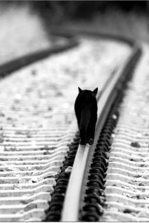 一个人走路一个人默默无闻