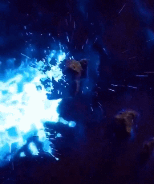 蓝眼泪迎来大爆发火爆全网的季节限定美景