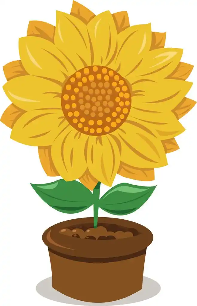 在花盆里的向日葵,表示在花盆里的向日葵矢量卡通
