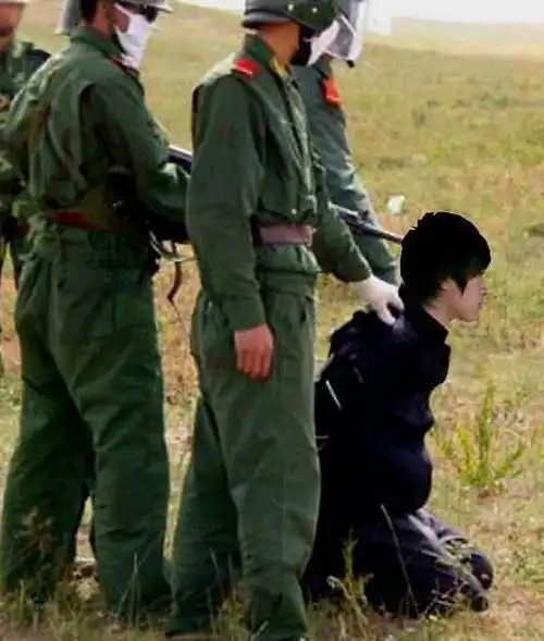 为啥死刑犯在被执行枪决的时候要跪着,如果不配合,还会被执行吗|犯人