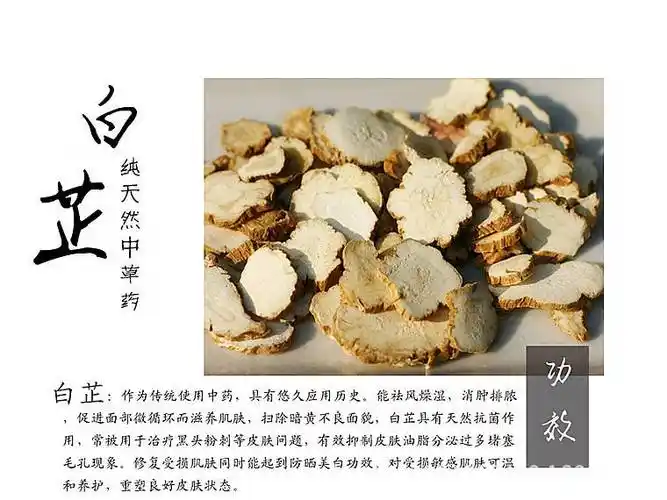 茯苓法夏的功效和作用_白芷茯苓的功效与作用吃法_当归白芷茯苓粉面膜