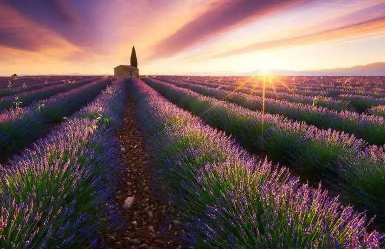 盘点世界上最美的十个地方!