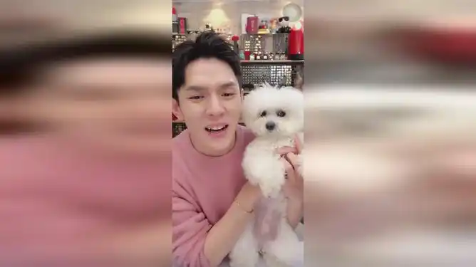 「李佳琦直播」被never一直吼的妹妹,可怜巴巴不敢看她_网易视频