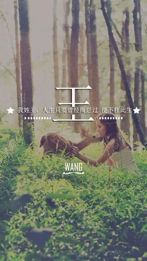 百家姓王姓锁屏