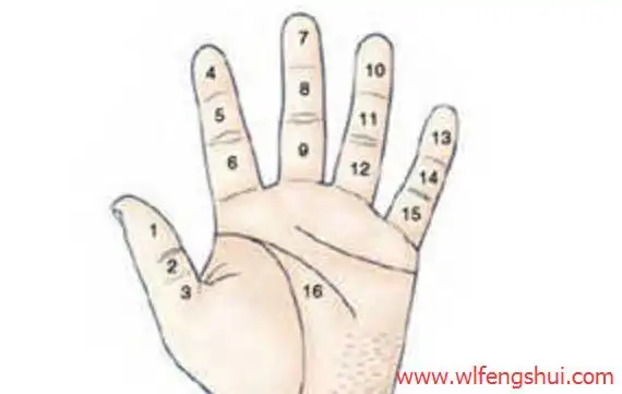 手上痣相图解大全你了解你手上的痣吗