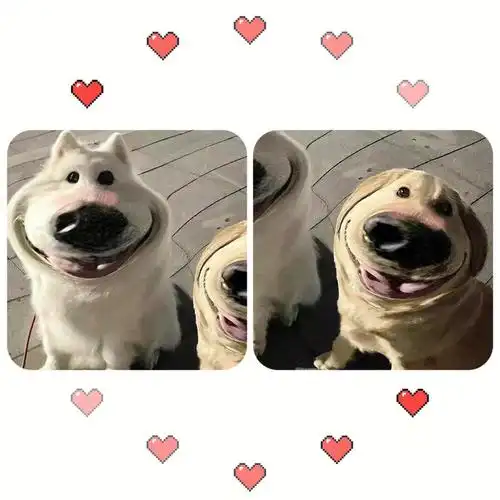 搞怪情头分享来啦