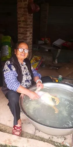 几位妇女在拔鸡毛,鸭毛.