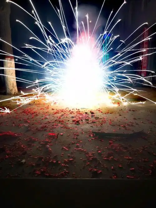 烟花照片!过年啦!