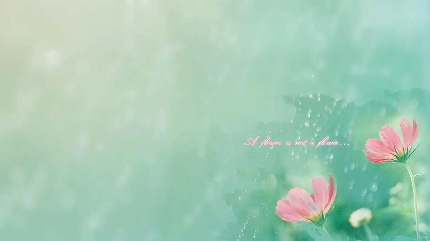 岁月静好文艺小清新唯美电脑桌面壁纸