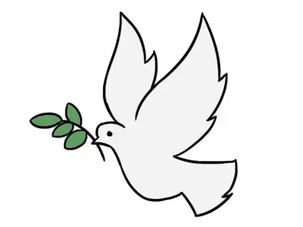 白鸽简笔画 白鸽简笔画国庆