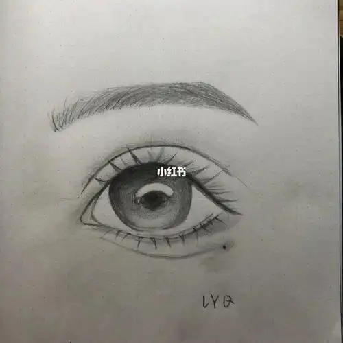 第一次画眼睛