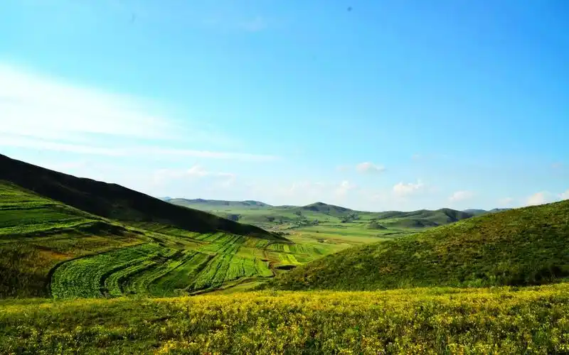 河北丰宁坝上草原,高清壁纸,风景图片-回车桌面