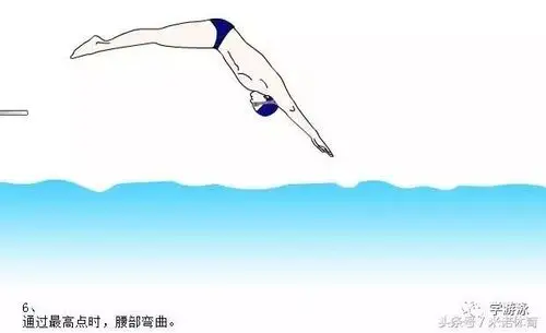 每个泳姿该怎么出发你都知道了吗