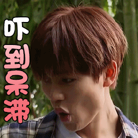 野生厨房gif林彦俊gif吓到呆滞gif伤心gifsoogifgifsoogif出品gif