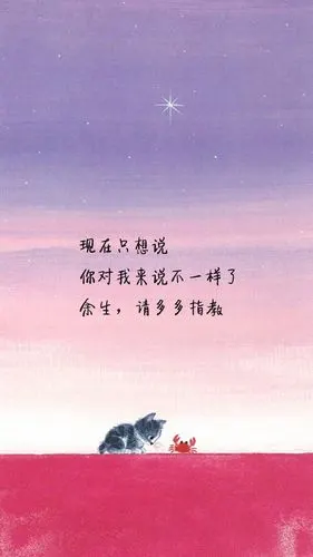 爱情文字语录图片 爱你所爱唯美心情文字图片