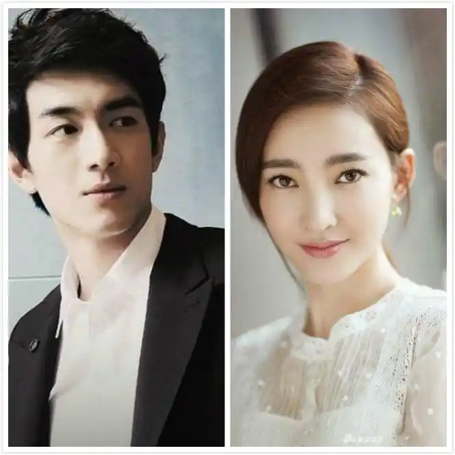 亲自辟谣?34岁王丽坤点赞林更新否认婚讯微博