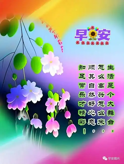 中午好图片大全午安祝福图片中午好问候中午祝您万事好午安送上祝福