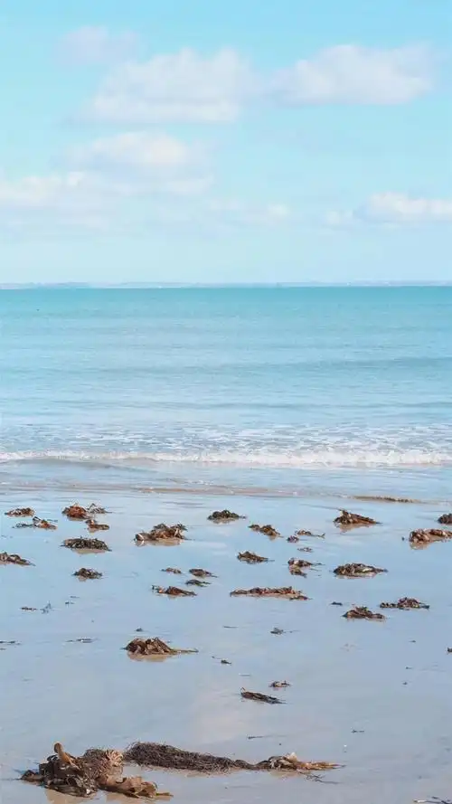 小清新唯美海边风景高清手机壁纸