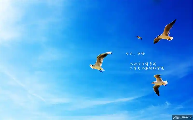 青春励志正能量语录集_小部落