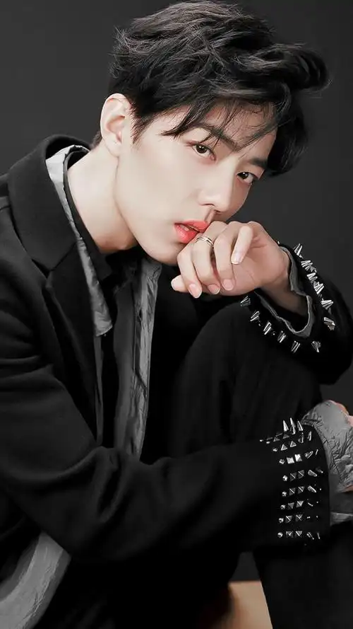 手机高清壁纸,无水印,肖战