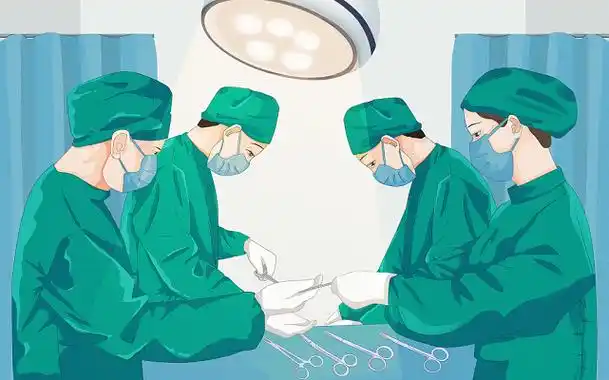 肝素材-肝图片-肝素材图片下载-觅知网