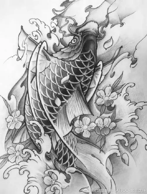 鲤鱼纹身手稿#传统纹身##锦鲤##锦鲤纹身##鲤鱼纹身#北京·优士阁大厦