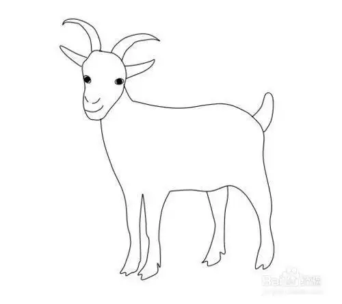 山羊的简笔画怎么涂色