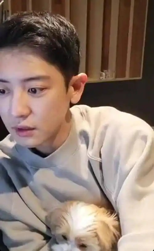 exo朴灿烈退伍后首开直播,穿灰色卫衣素颜无惧怼脸镜头_休闲_兵役