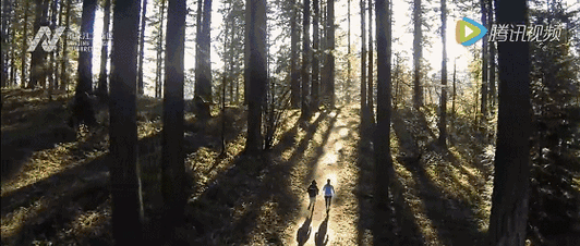 560_238gif 动态图 动图