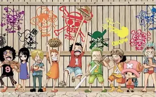 海贼王 - 堆糖,美图壁纸兴趣社区