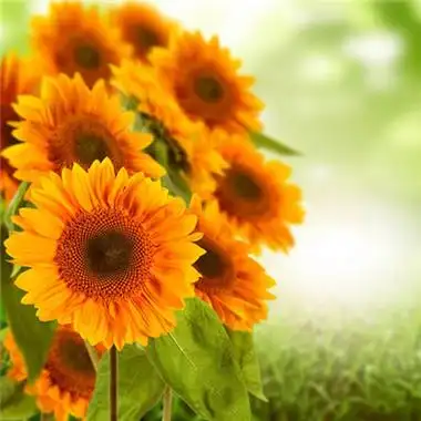 新年头像喜庆迎新春卡通头像