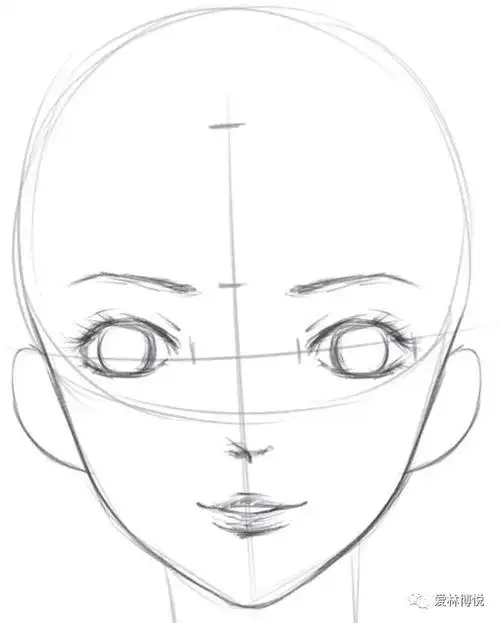 从三庭五眼到十字中心线教你画比例完美的五官