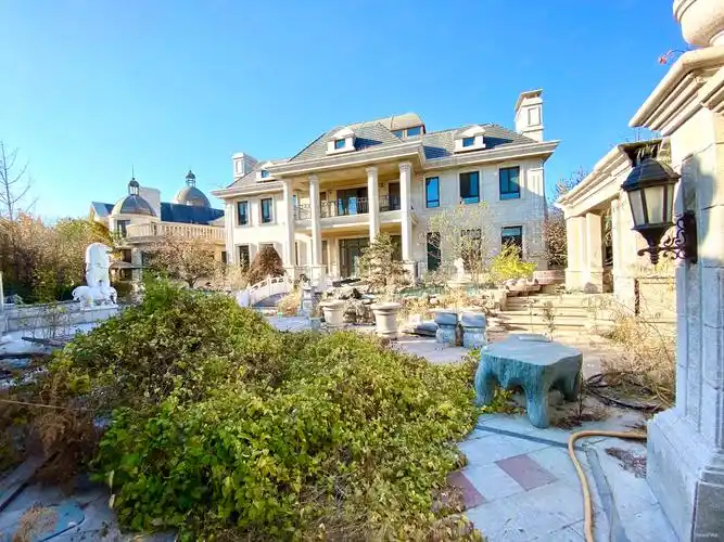 财富公馆独栋别墅 2000平 拥有本小区多套房源随时看,财富公馆二手房