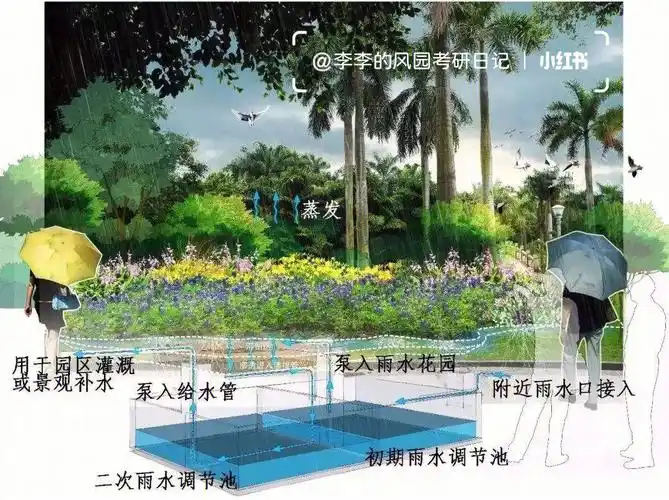 雨水花园生态设计让你的设计脱颖而出