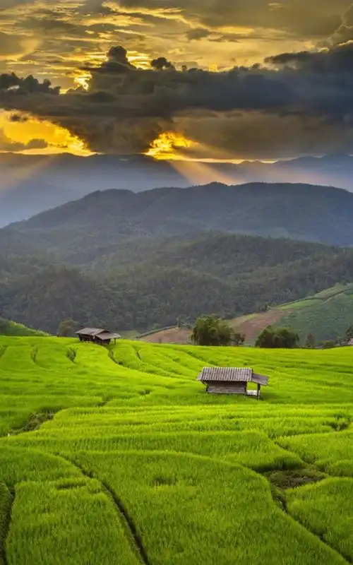 唯美大自然风景图片手机壁纸
